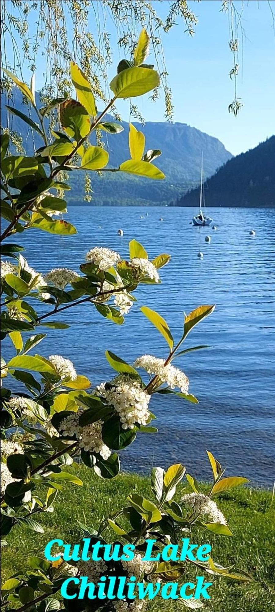 Private Suite 2Br Near Hwy 1, Heritage Park, Coliseum, Cultus Lake, Fishing, Чилливак Номер фото