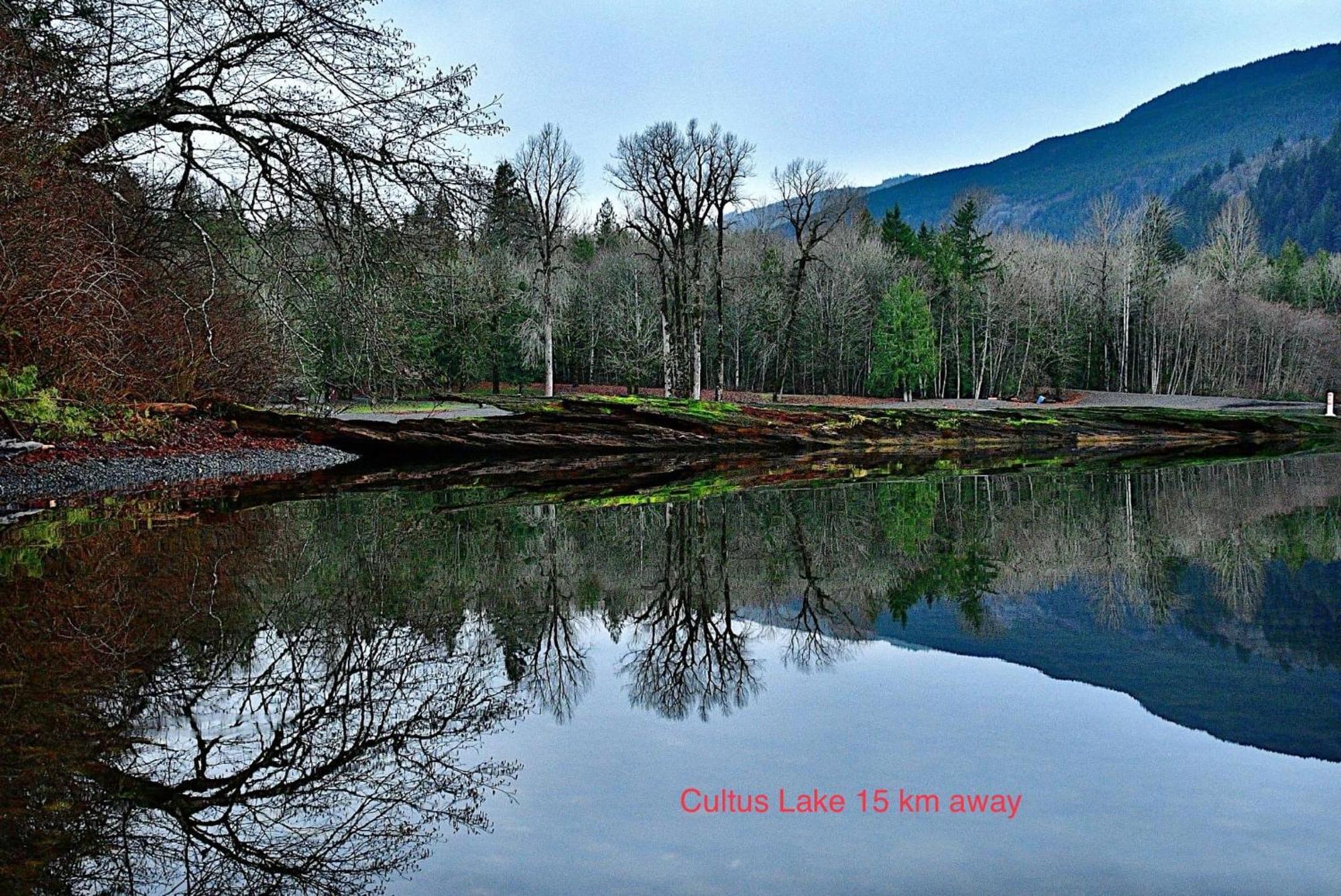 Private 2 Bedrooms Suite Near Hwy 1, Cultus Lake, Heritage Park, Fishing, Coliseum Чилливак Экстерьер фото